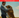 A dog's journey: competition now closed banner