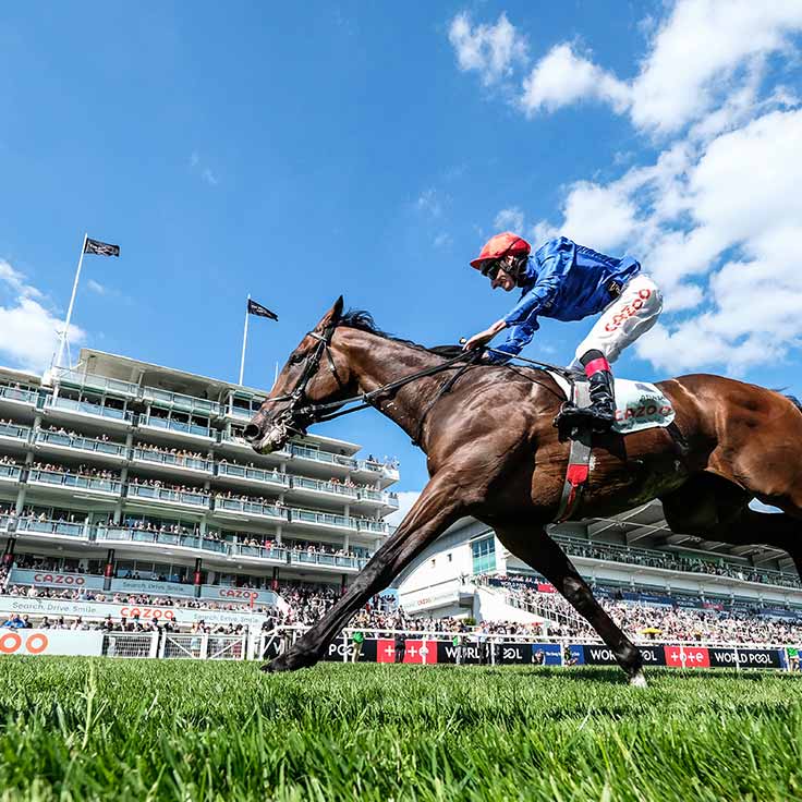 Epsom Downs Racecourse