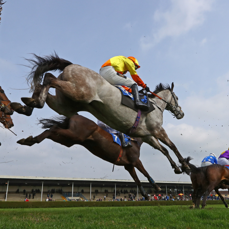 Exeter Racecourse