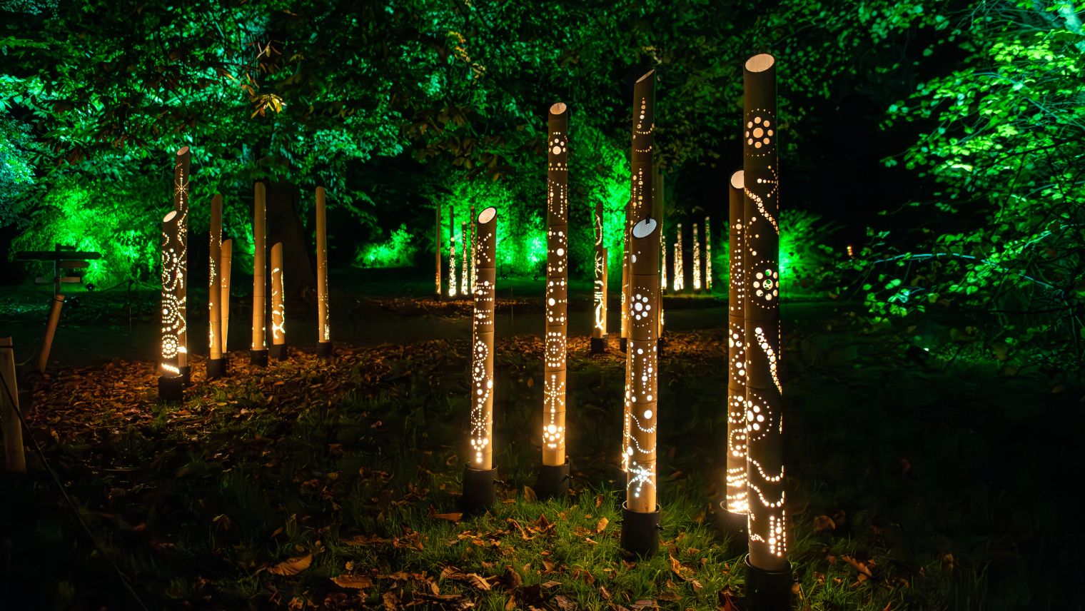 Installation Electric bamboo shows lights on bamboo