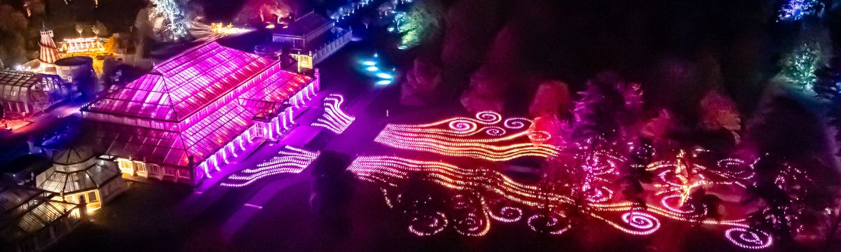 Art installation is called Sea of LIght . Image shows an overhead shot of the Palm house at Kew lit up with light flowing down into the lake infront 