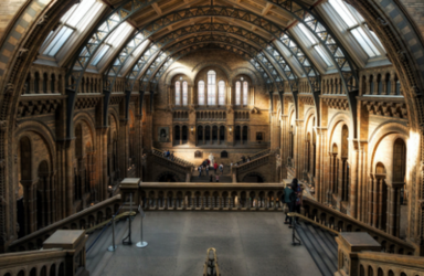 Natural History Museum