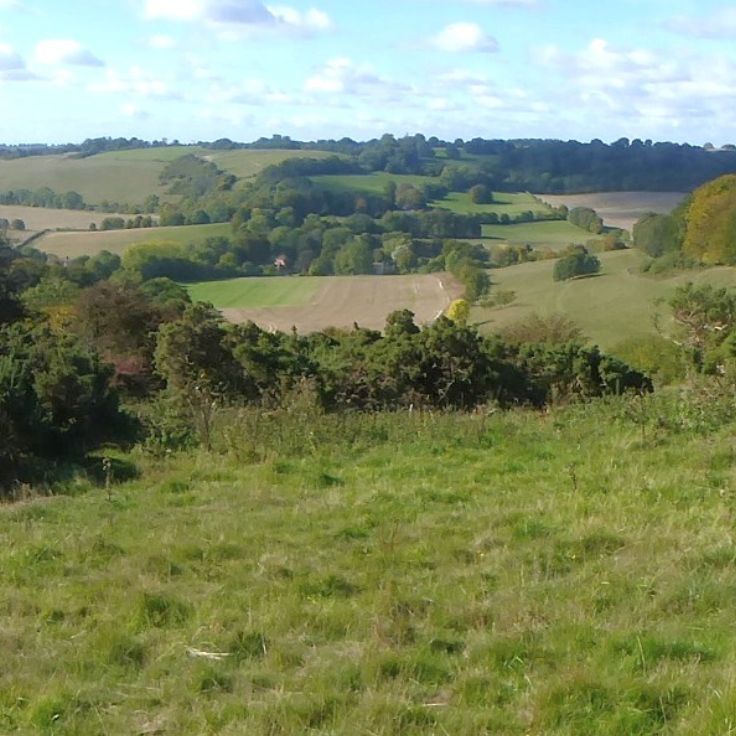 North Wessex Downs