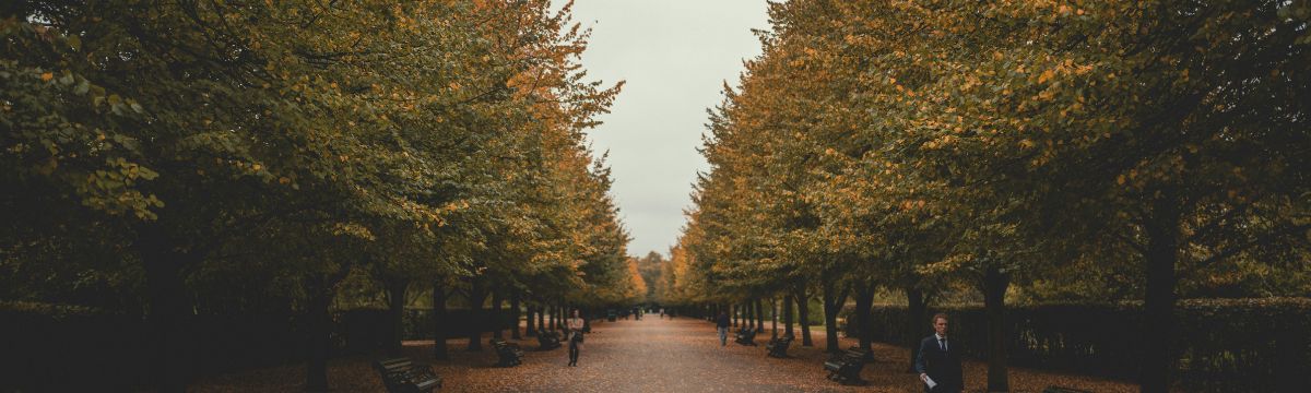 Regent's Park in London