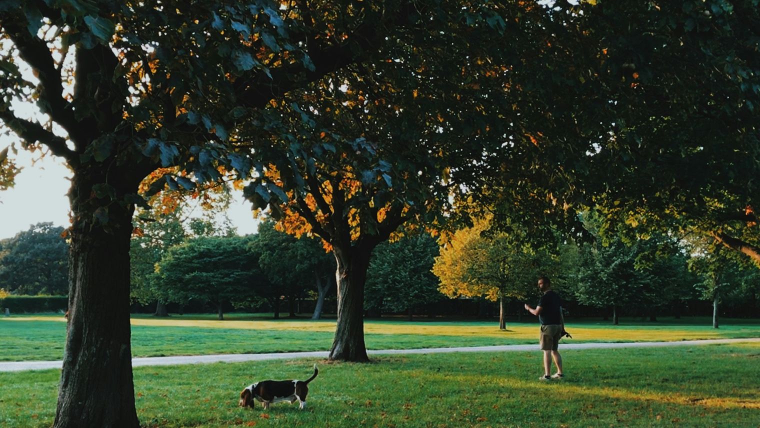 Regent's Park in London