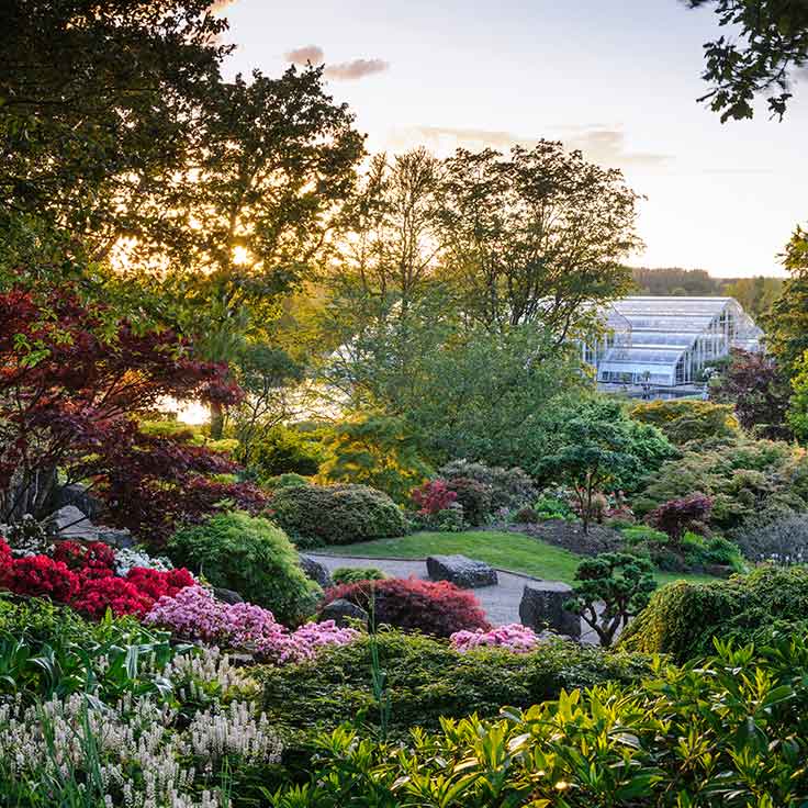 RHS Garden Wisley