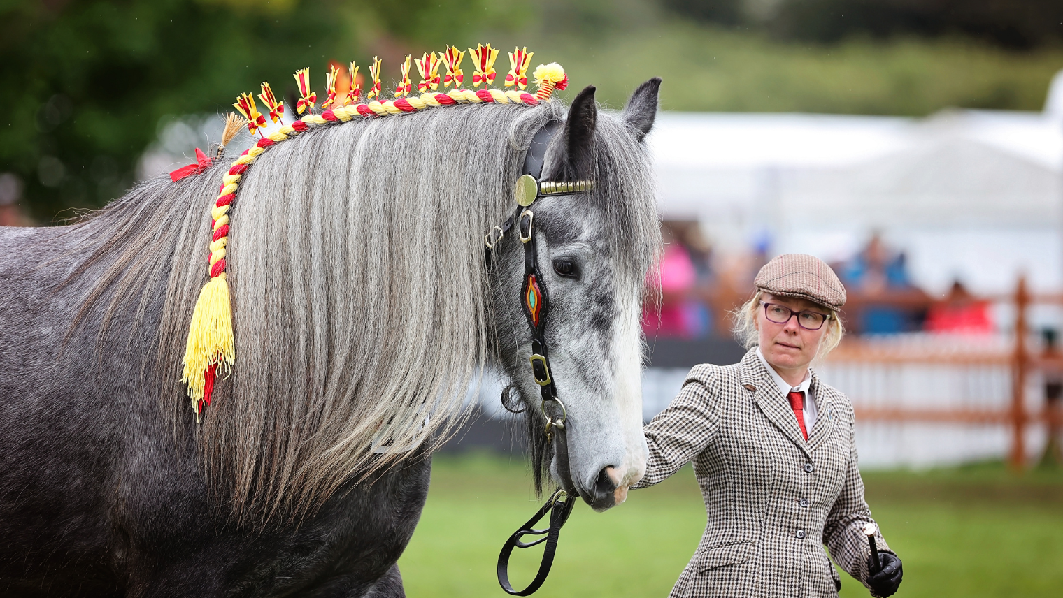 Windsor horse show