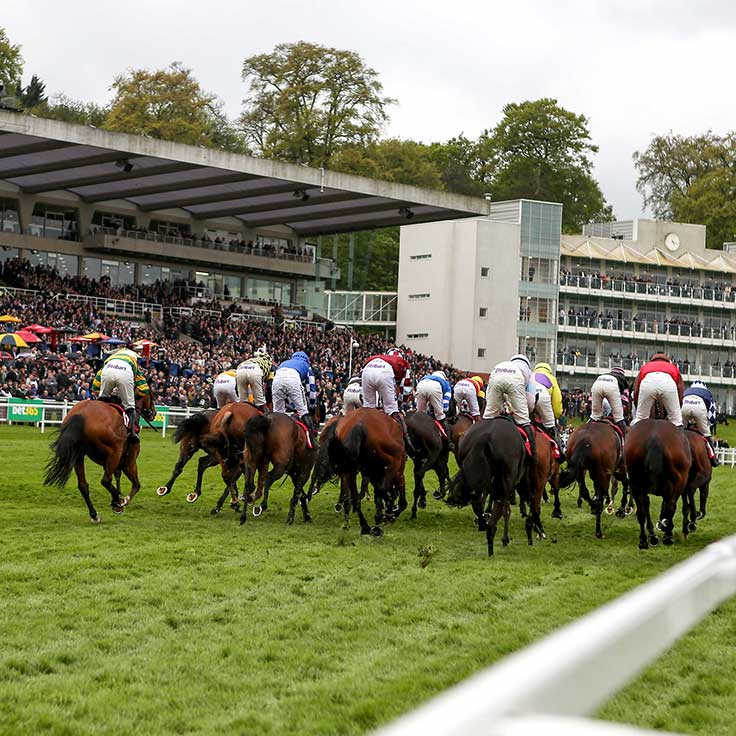 Sandown Park Racecourse