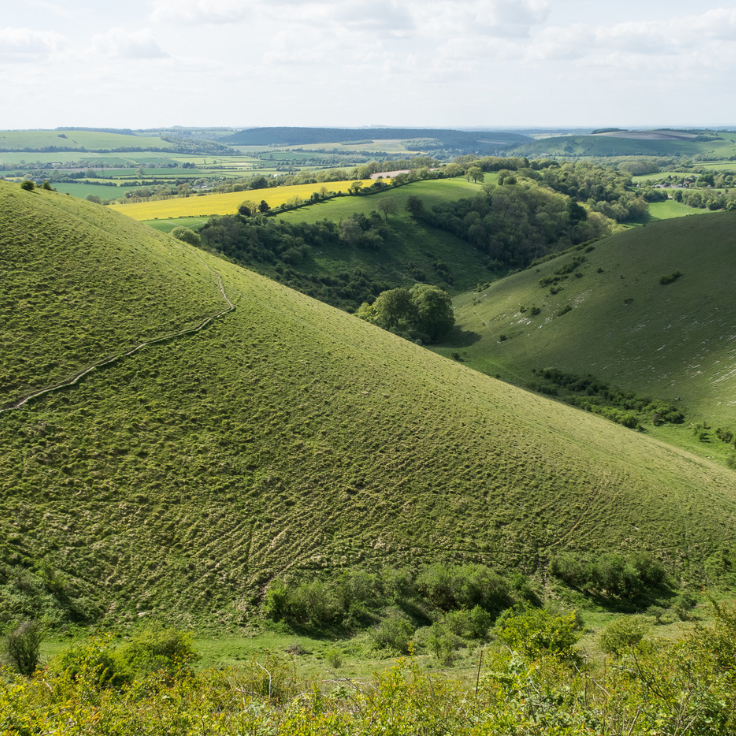 South Downs