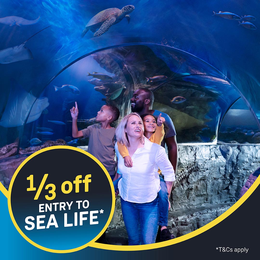 SWR Rewards Sea Life deal