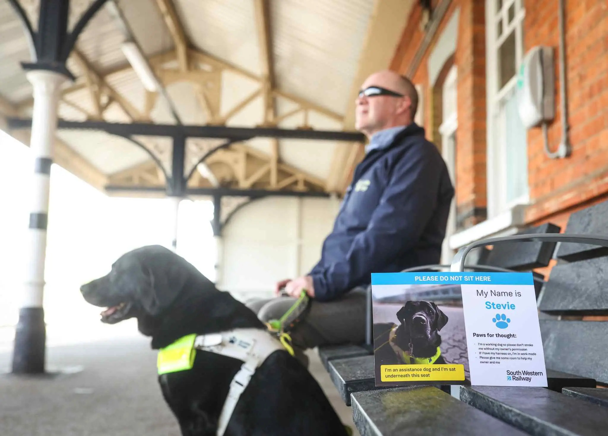 Passenger assistance dog with personalised South Western Railway card