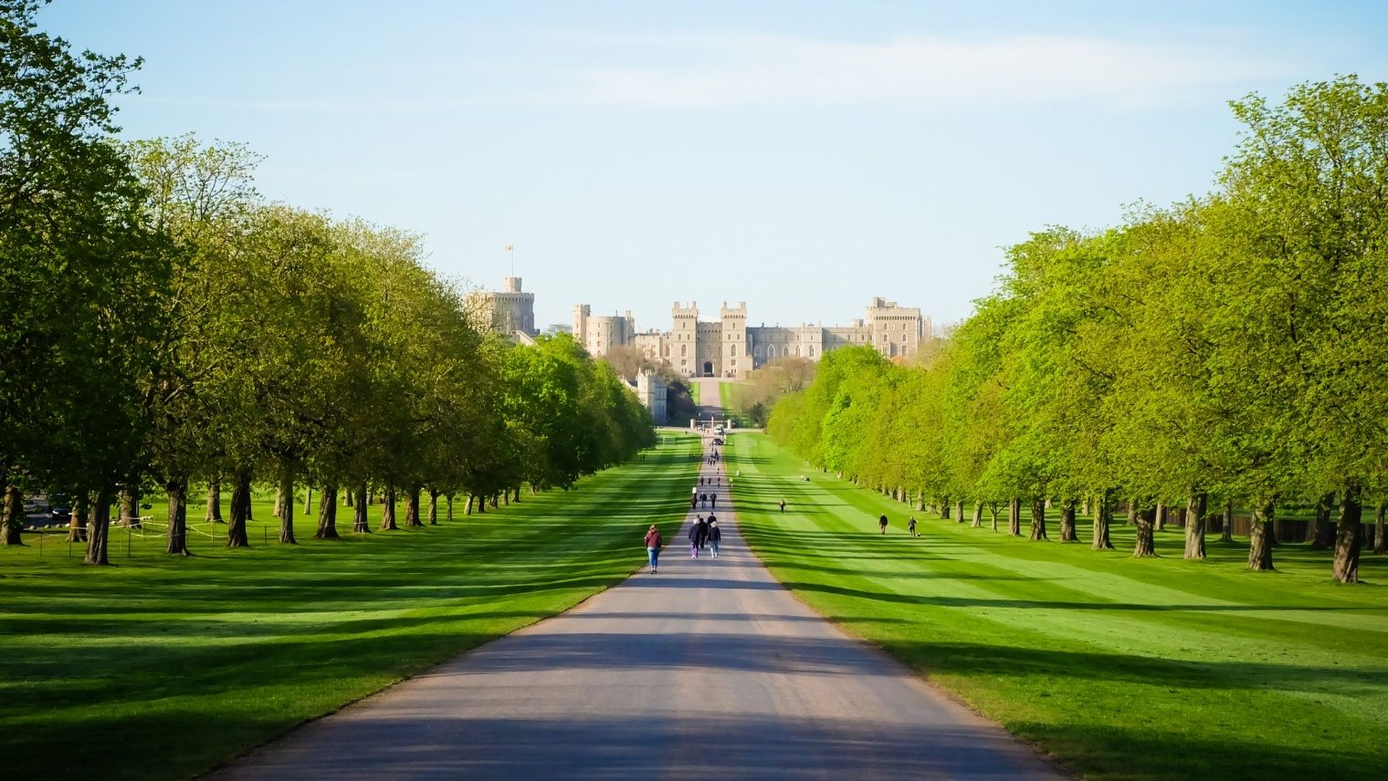 A view down the Long Walk to Windsor Castle on a summer's day