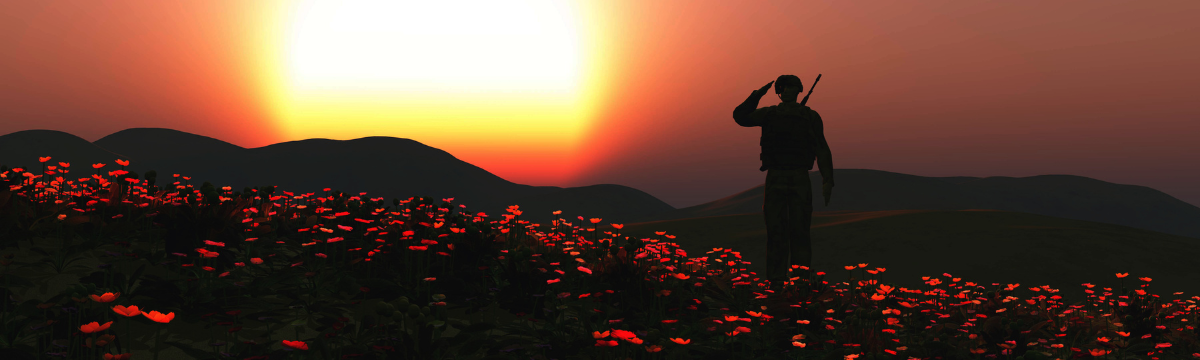 picture of a soldier on sunset