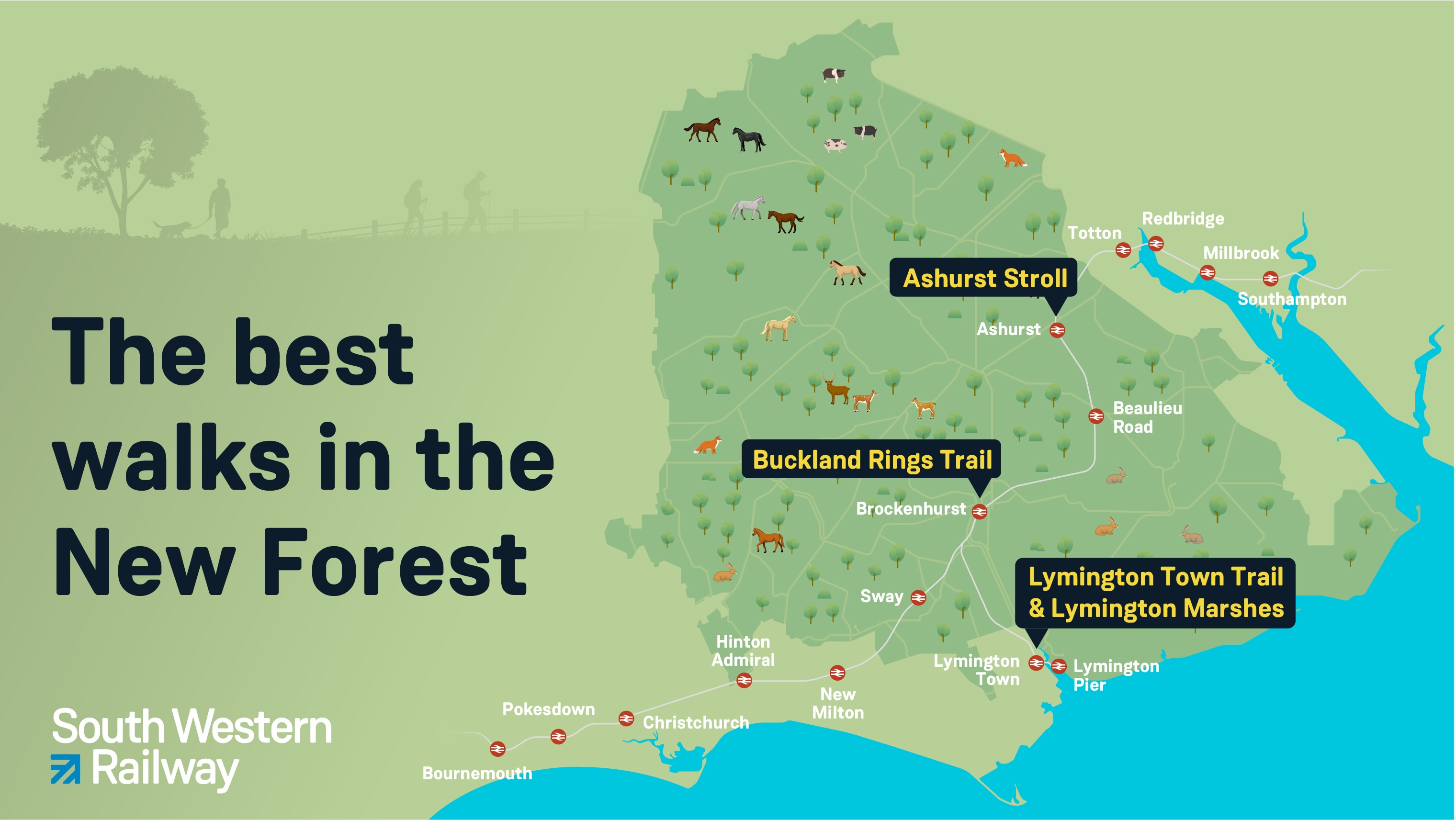 Map of the best walks in the New Forest