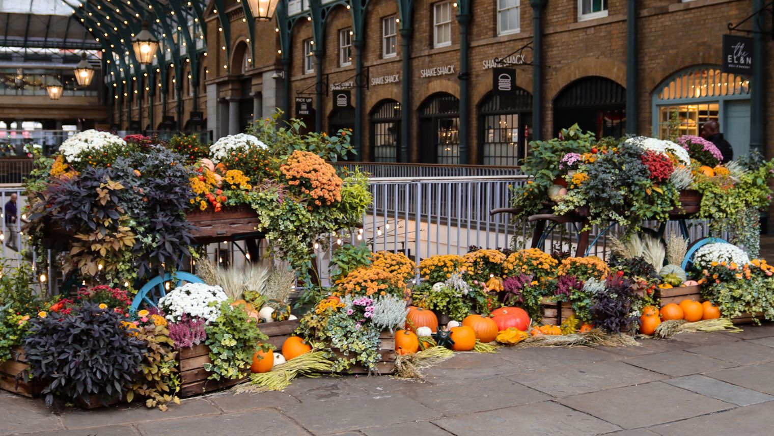 A display of pumpkins in Covent Garden