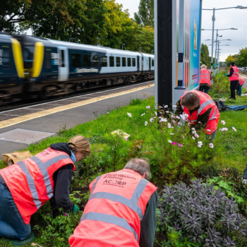 A group of people doing gardening work at a train station
