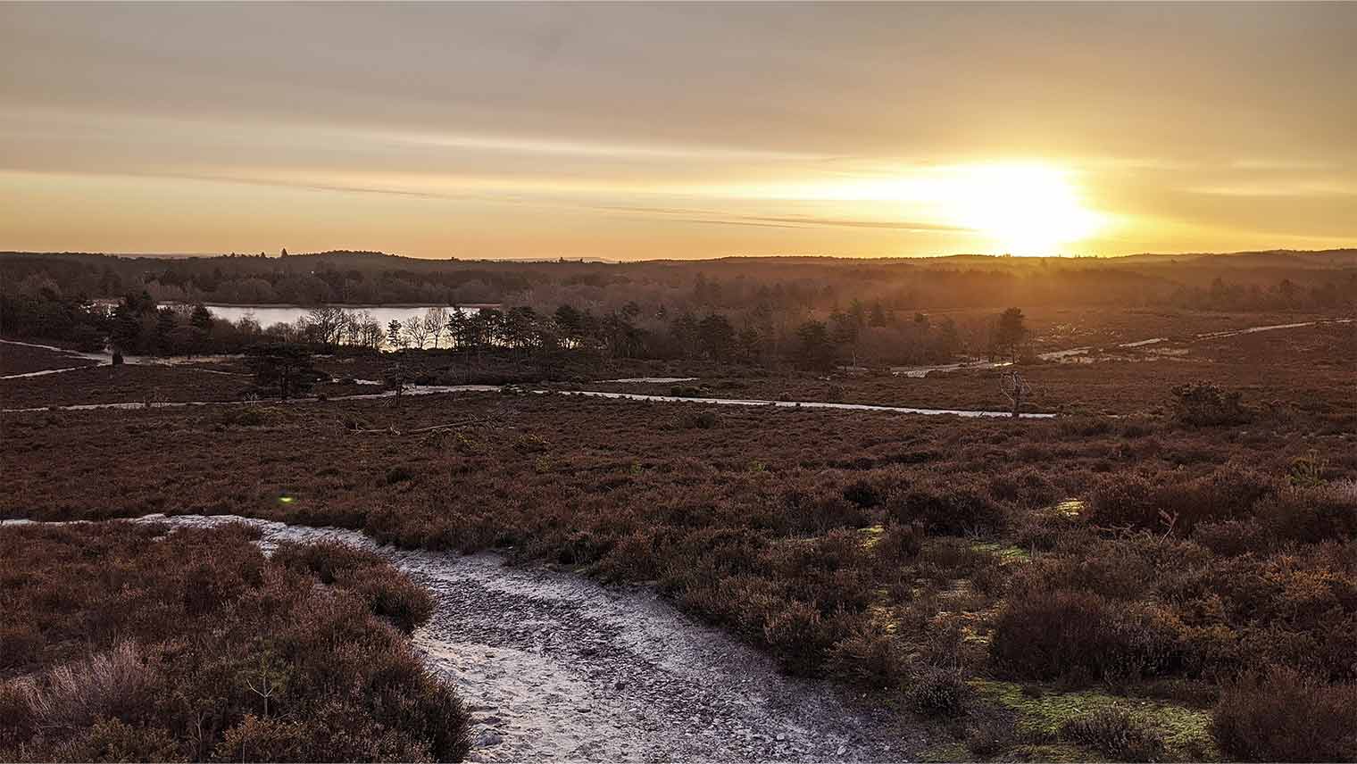 Frensham Great Pond and Common