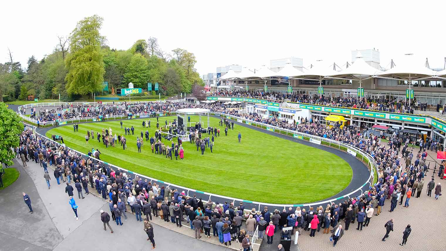 Sandown Park racecourse parade ring