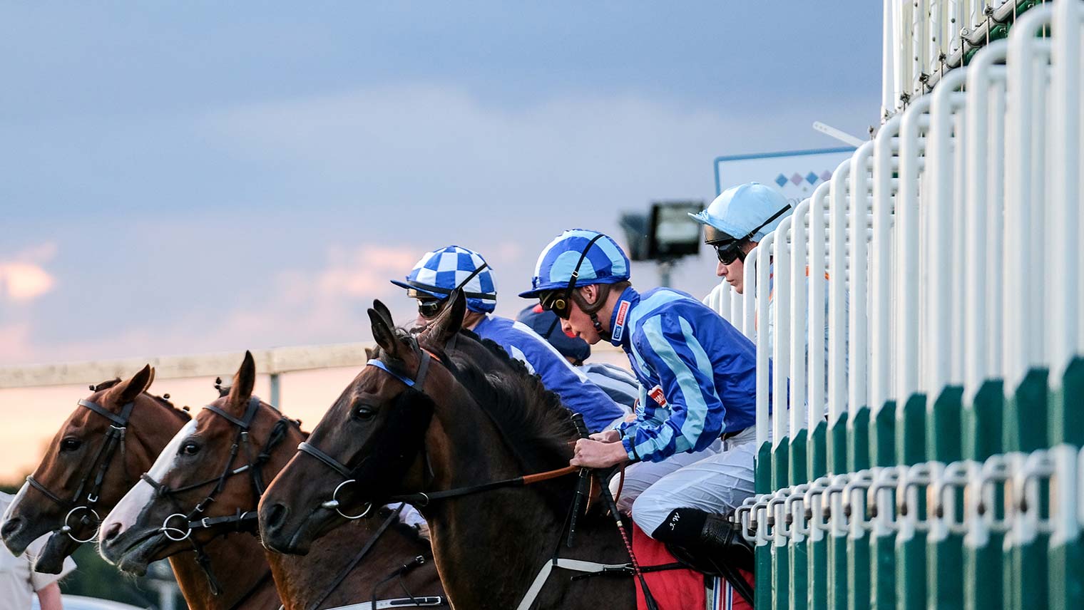 Sandown Park racecourse races