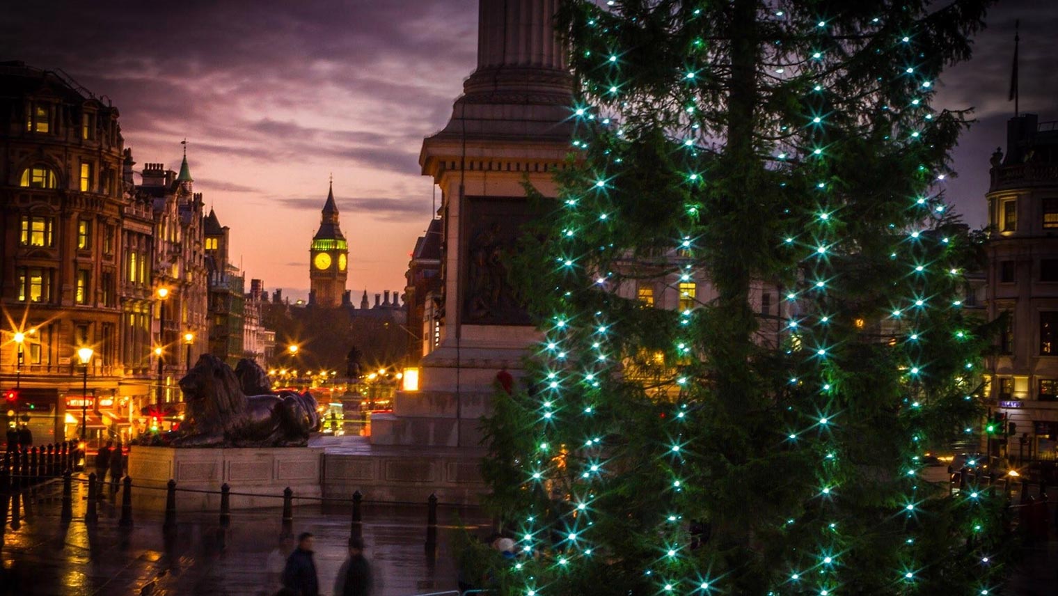 Trafalgar Square Christmas tree