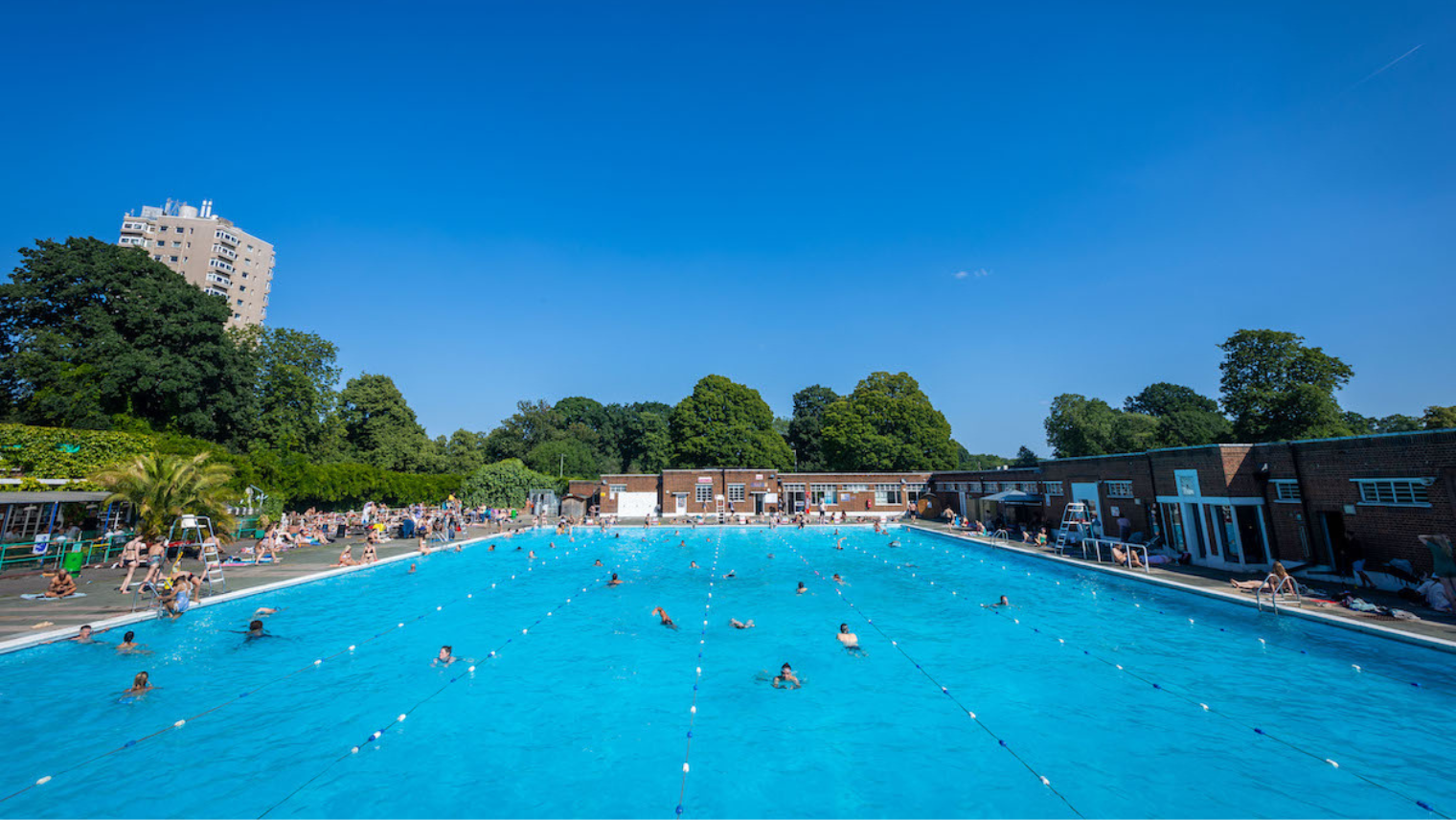 swimming pool at Brockwell Lido