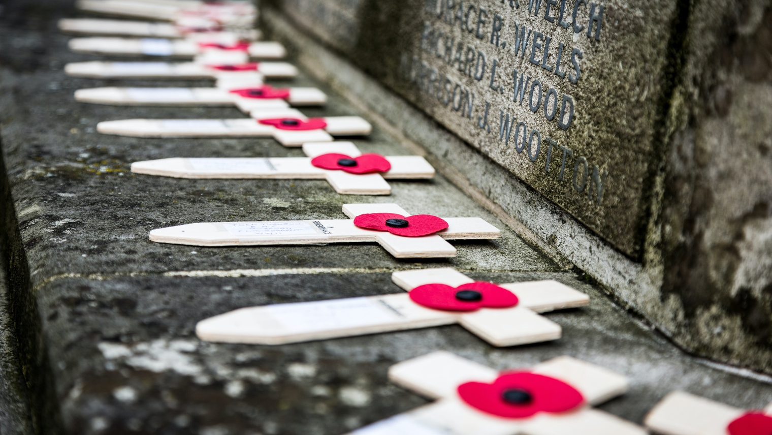 Remembrance Day poppies resting on crosses